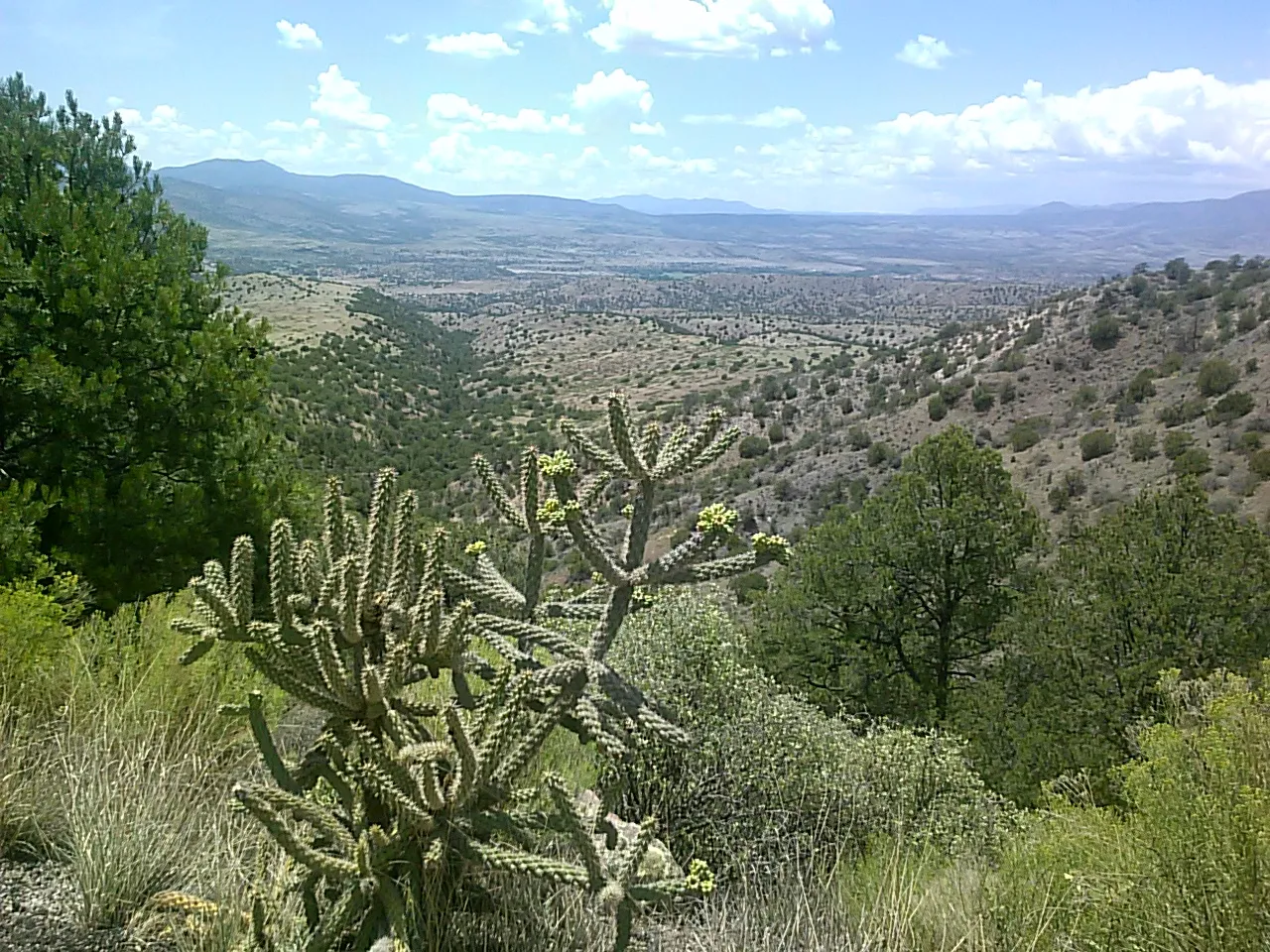 Explore Mogollon Historic District