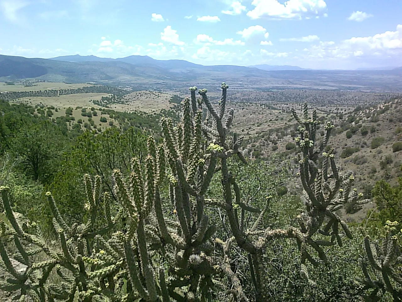 Explore Mogollon Historic District