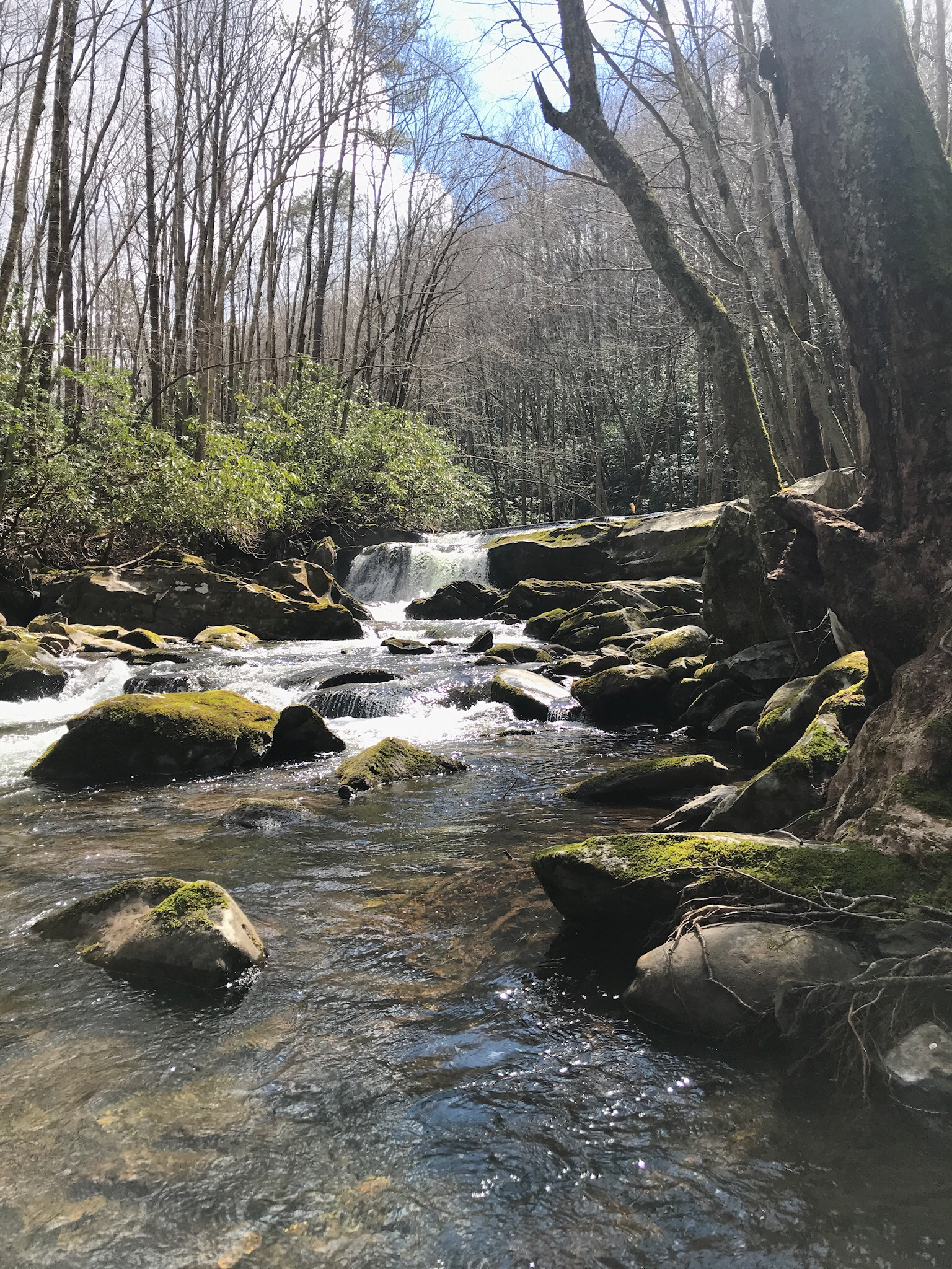 Hike to Indian Flat Falls via Middle Prong Trail