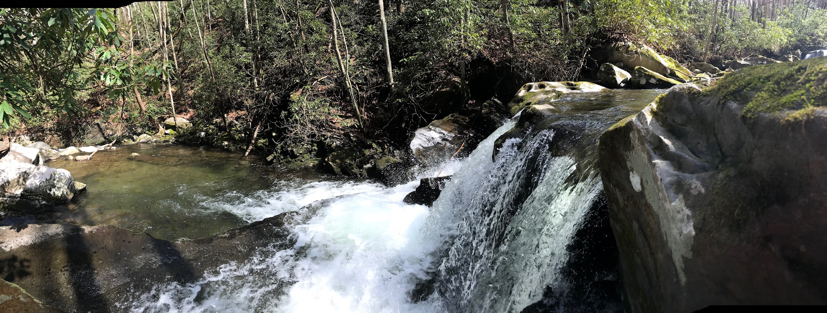 Hike to Indian Flat Falls via Middle Prong Trail