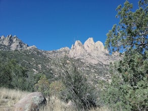 Hike the Pine Tree Loop Trail