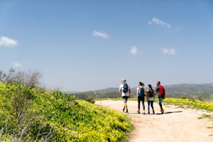 Hike the West Ridge Trail