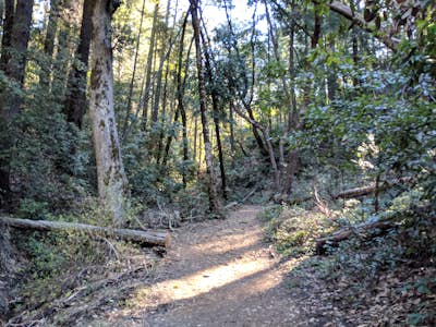 Hike the Saratoga Gap Trail