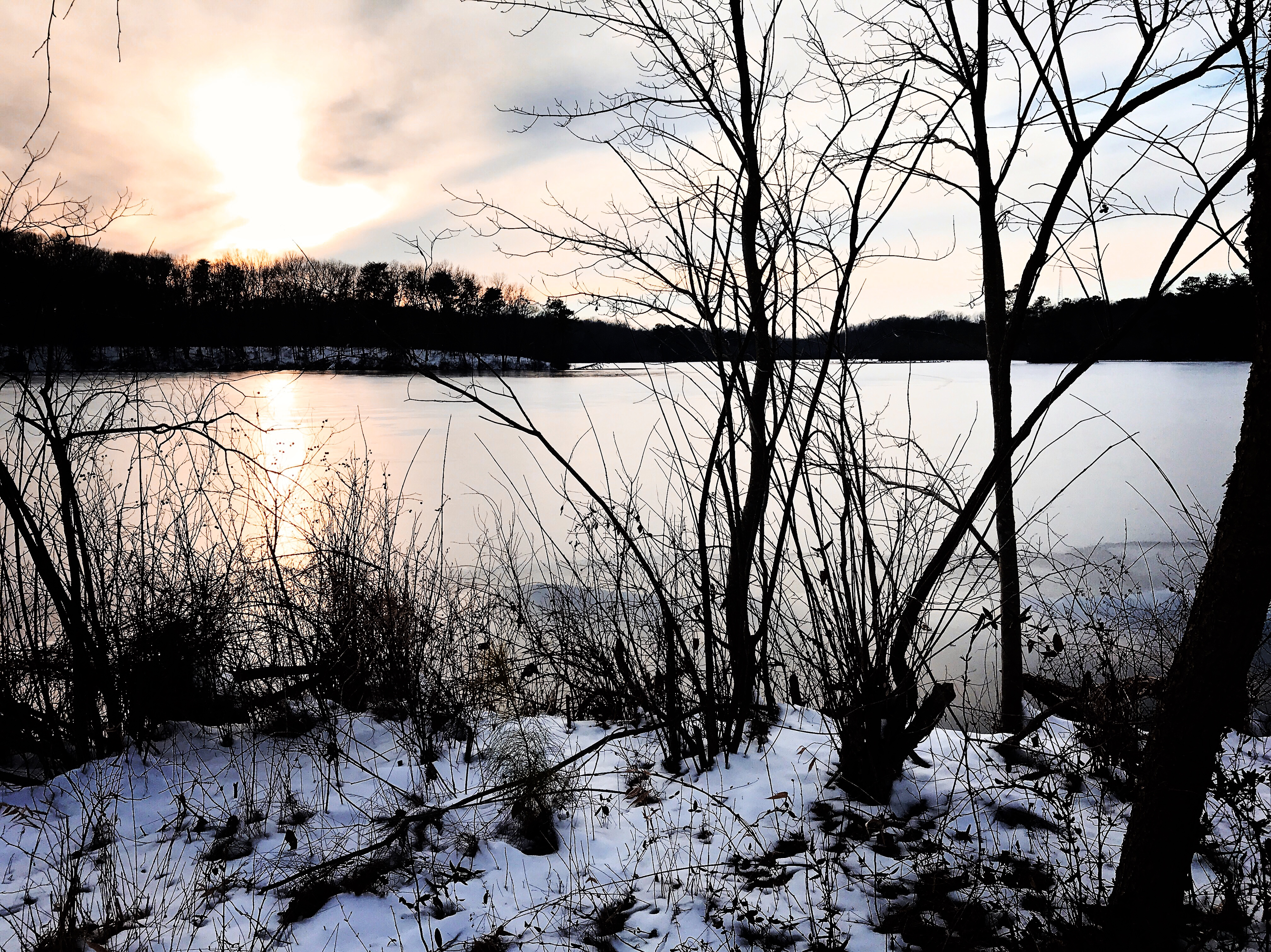 Hike the Pondside Trail, Killens Pond SP