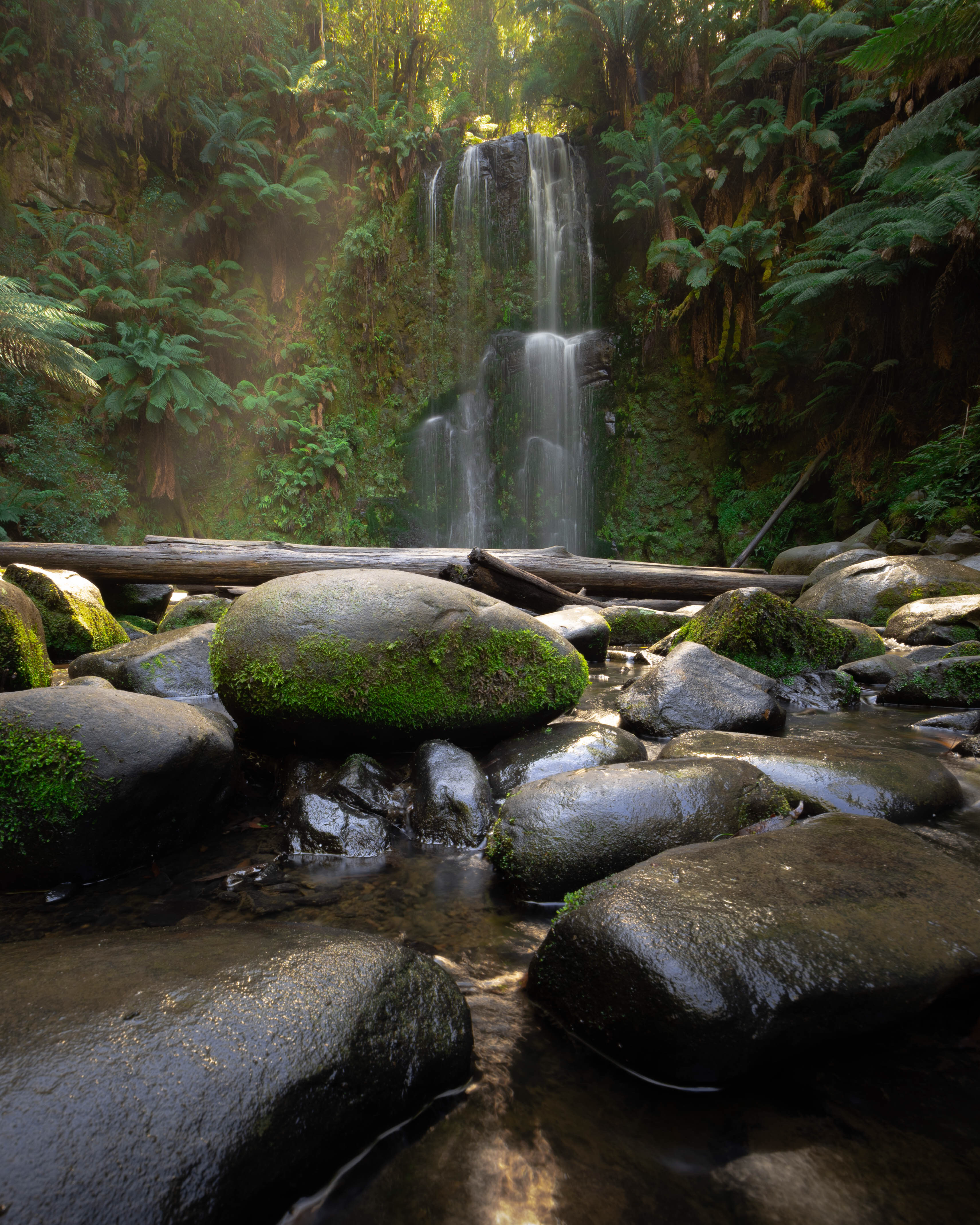 Explore Beauchamp Falls on the Great Ocean Road