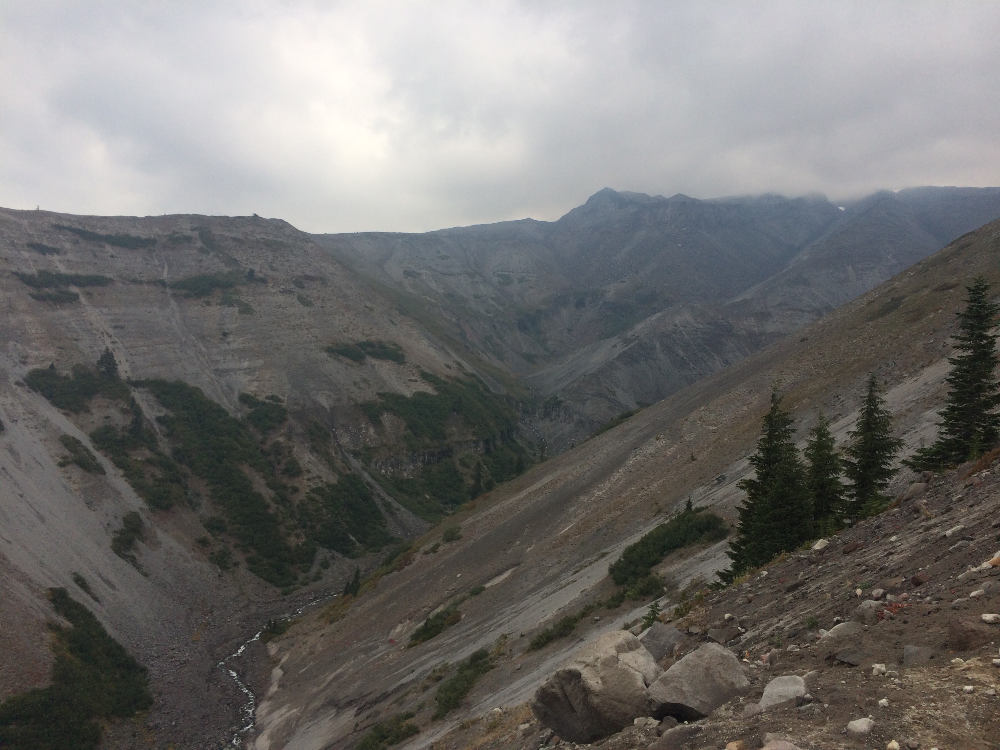Hike Paradise Park