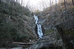 Hike to Tom's Creek Falls