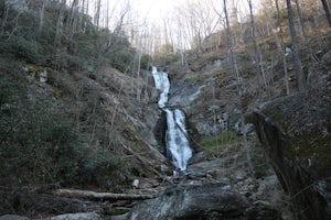 Hike to Tom's Creek Falls