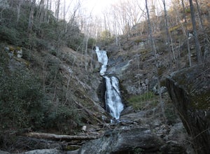 Hike to Tom's Creek Falls