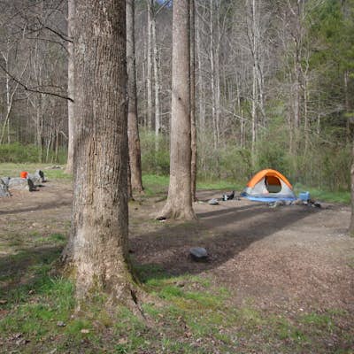 Camp at Citico Creek 