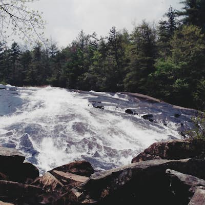 Hike the Trails of Dupont State Forest