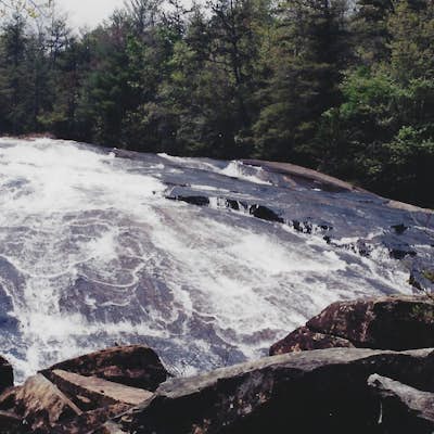 Hike the Trails of Dupont State Forest
