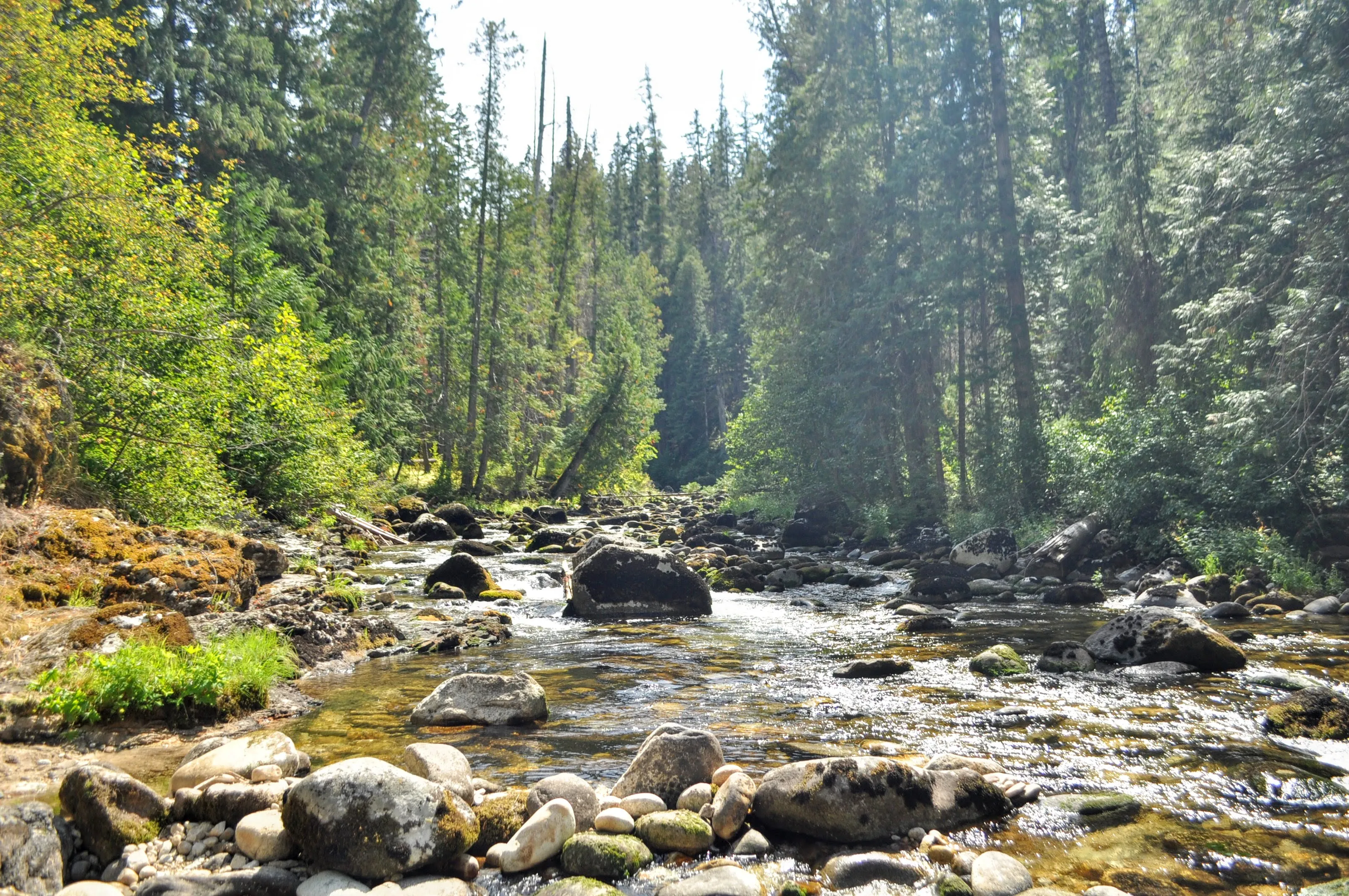 Jerry Johnson Hot Springs