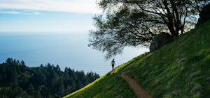 10 Photos That Will Inspire You to Explore Marin County, CA