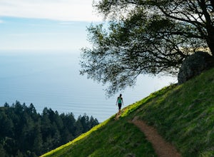 10 Photos That Will Inspire You to Explore Marin County, CA