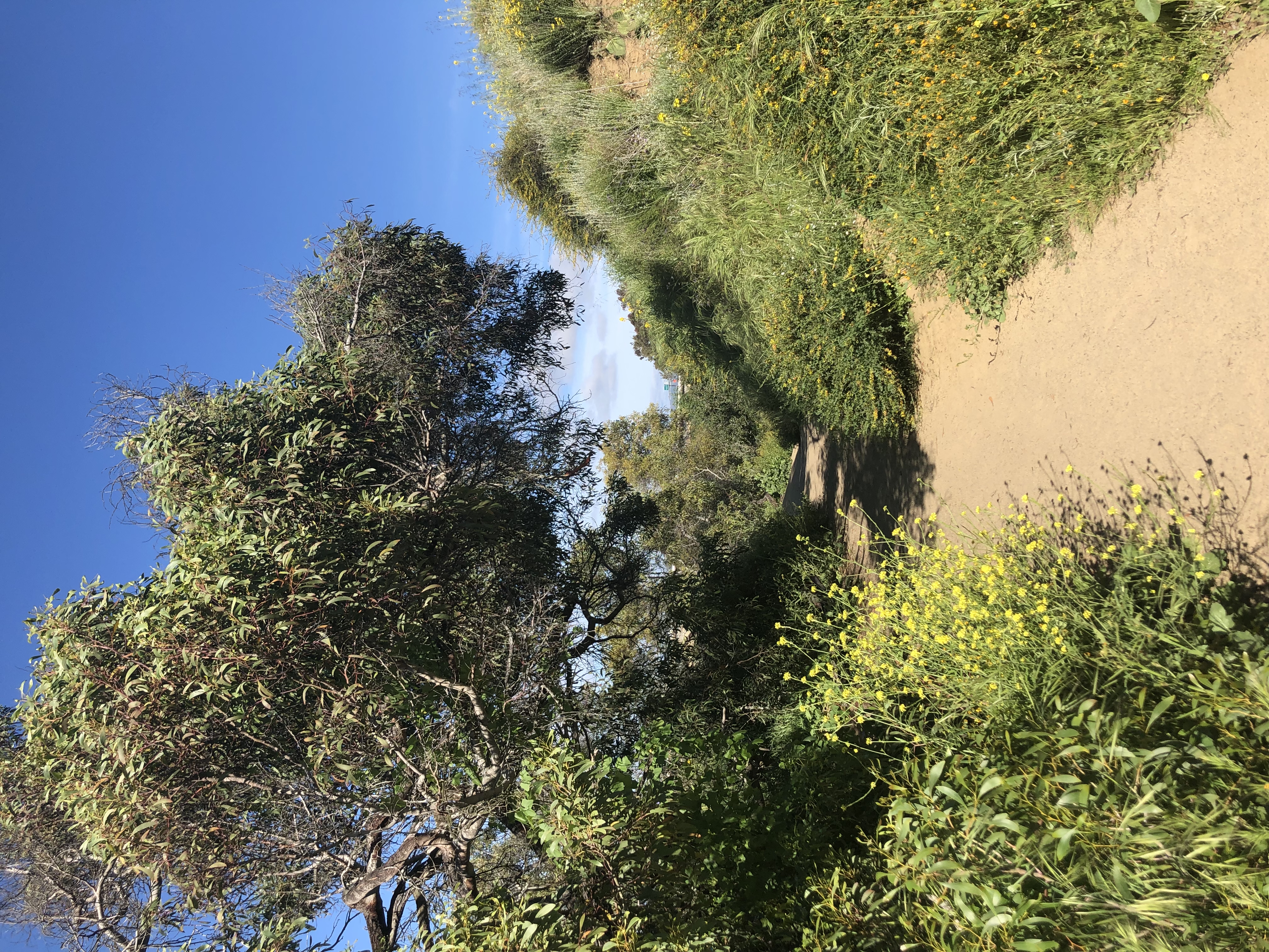 Annie’s Canyon via N Rios