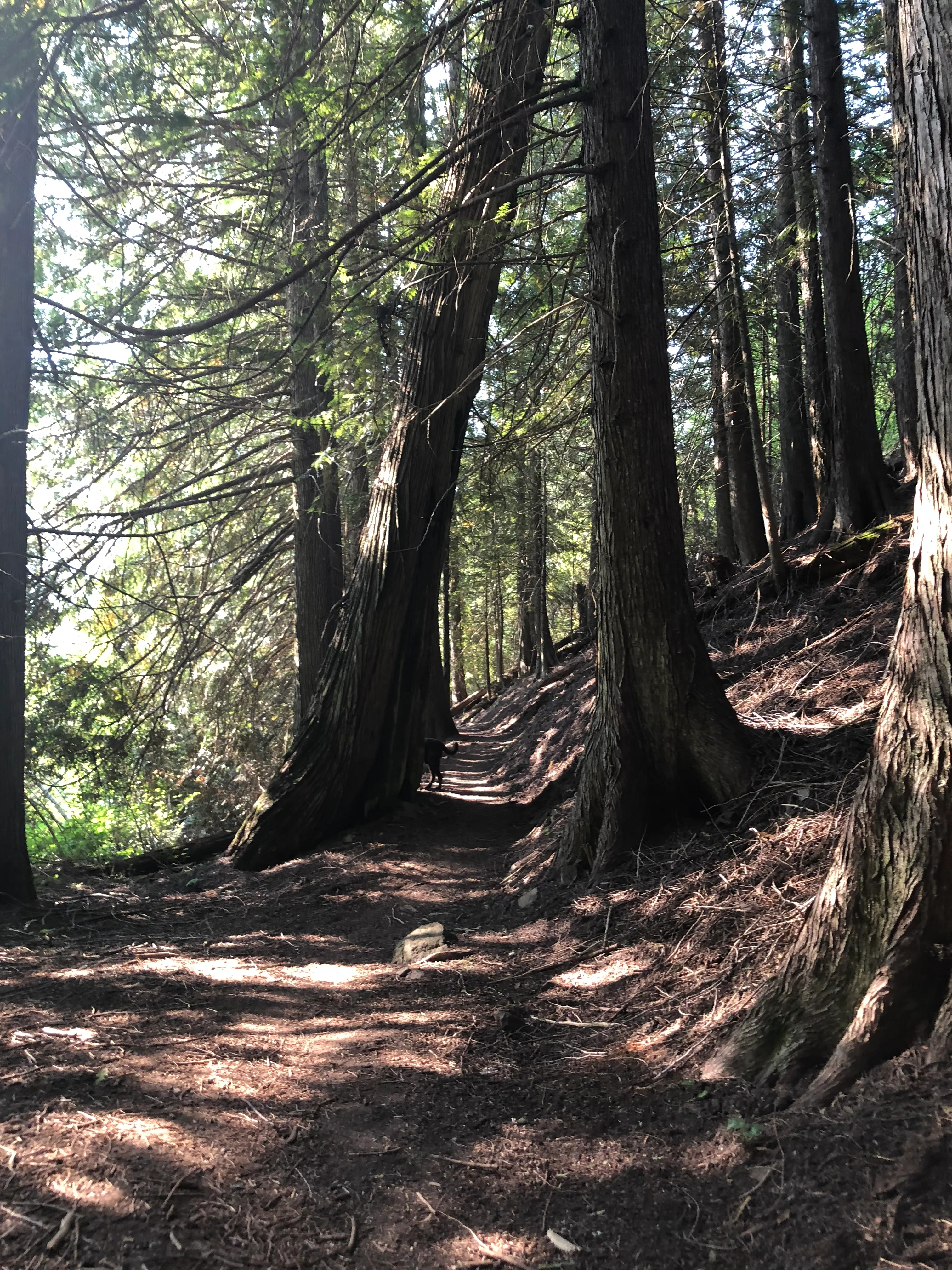 Hike or Kayak to Bead Lake Campsites