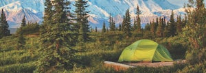 Camping Is The Best Way to Explore Denali National Park