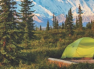 Camping Is The Best Way to Explore Denali National Park