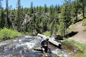 Gibbon Falls