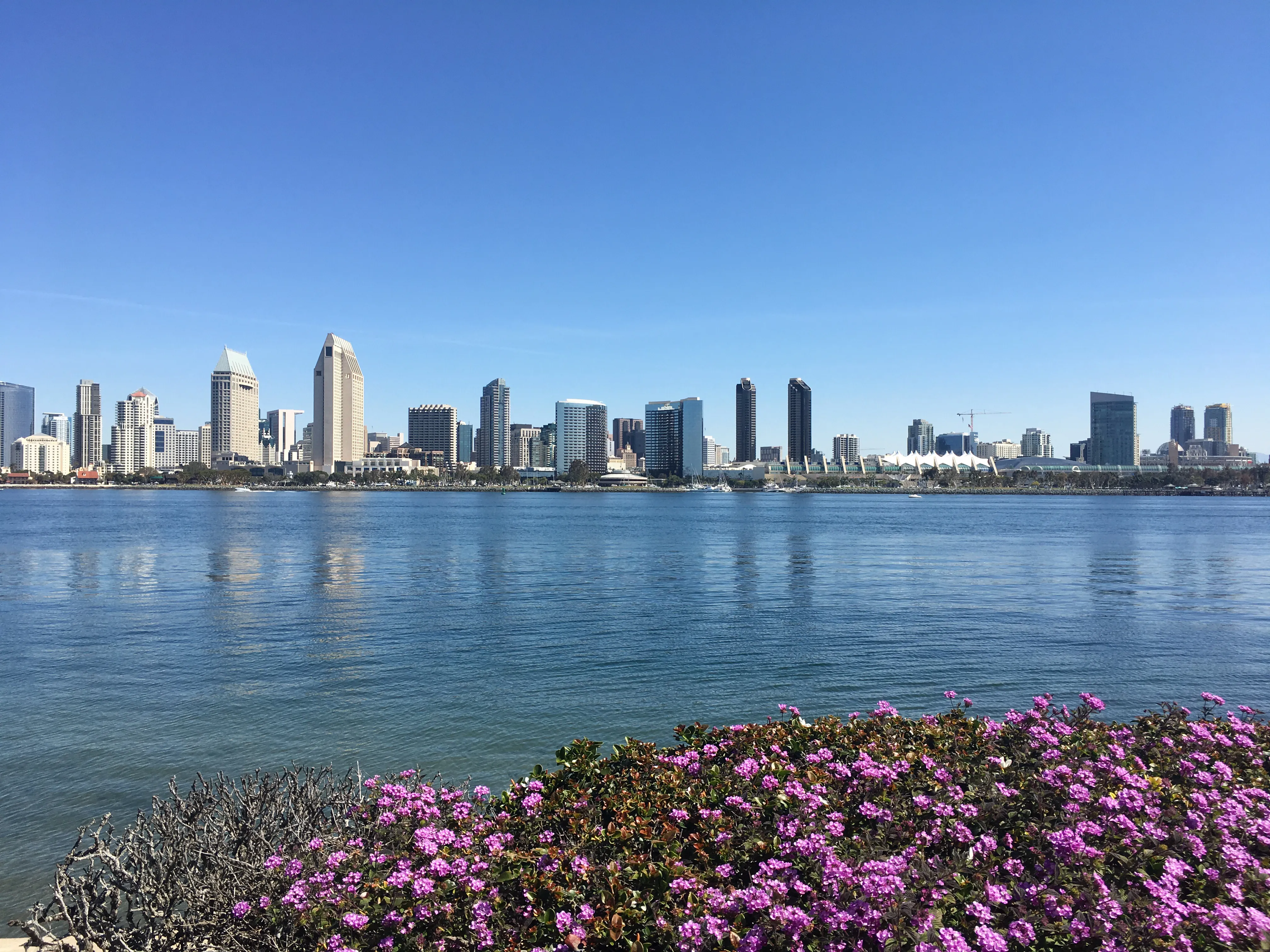 Explore Bayview Park