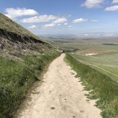 Hike the San Emigdio Trail in the Wind Wolves Preserve