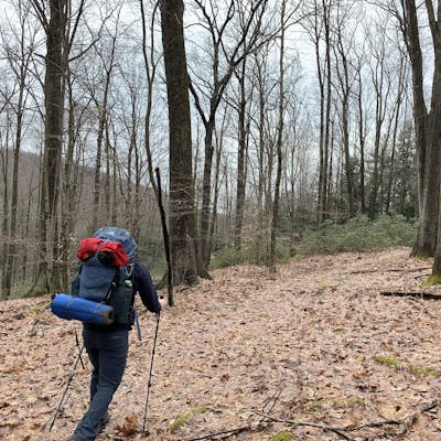Hike the Rimrock-Morrison Trail