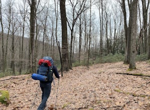 Hike the Rimrock-Morrison Trail