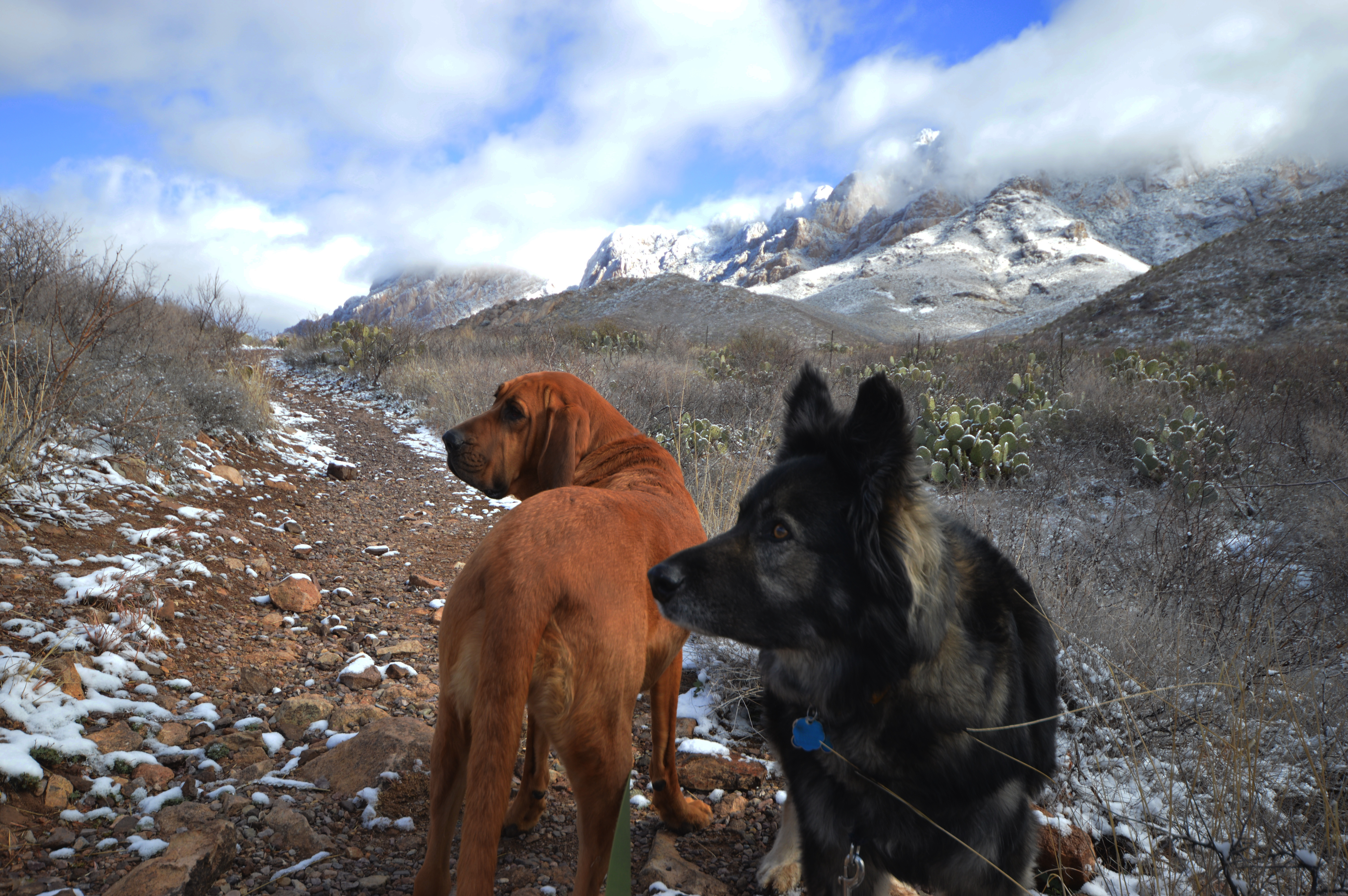 Hike the Dripping Springs Natural area