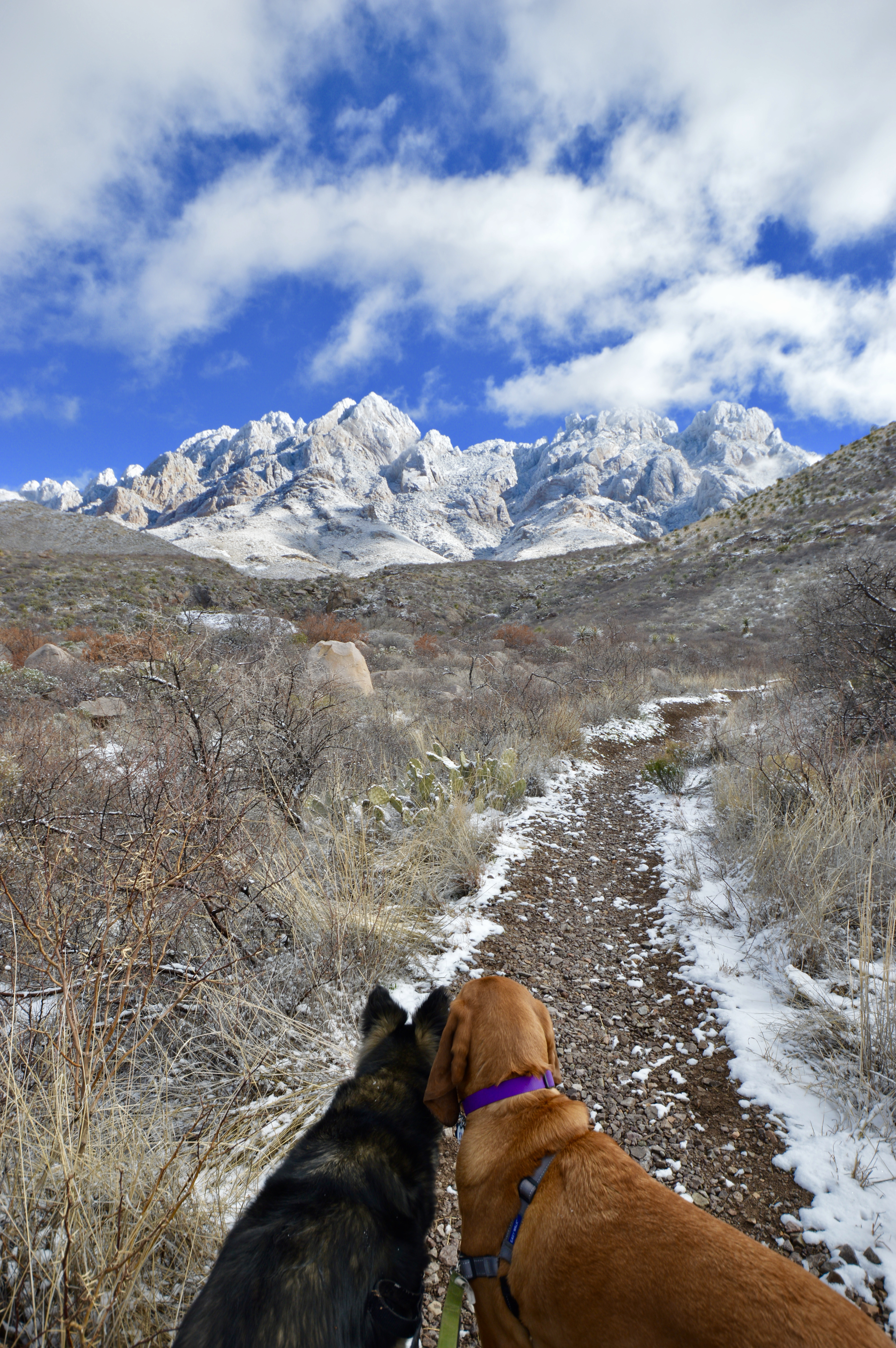 Hike the Dripping Springs Natural area