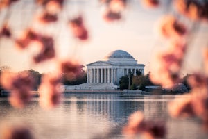 7 Photos of Washington D.C.'s Beautiful Cherry Blossoms