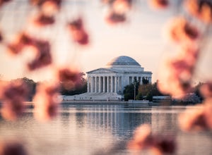 7 Photos of Washington D.C.'s Beautiful Cherry Blossoms
