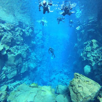 Diving in Silfra