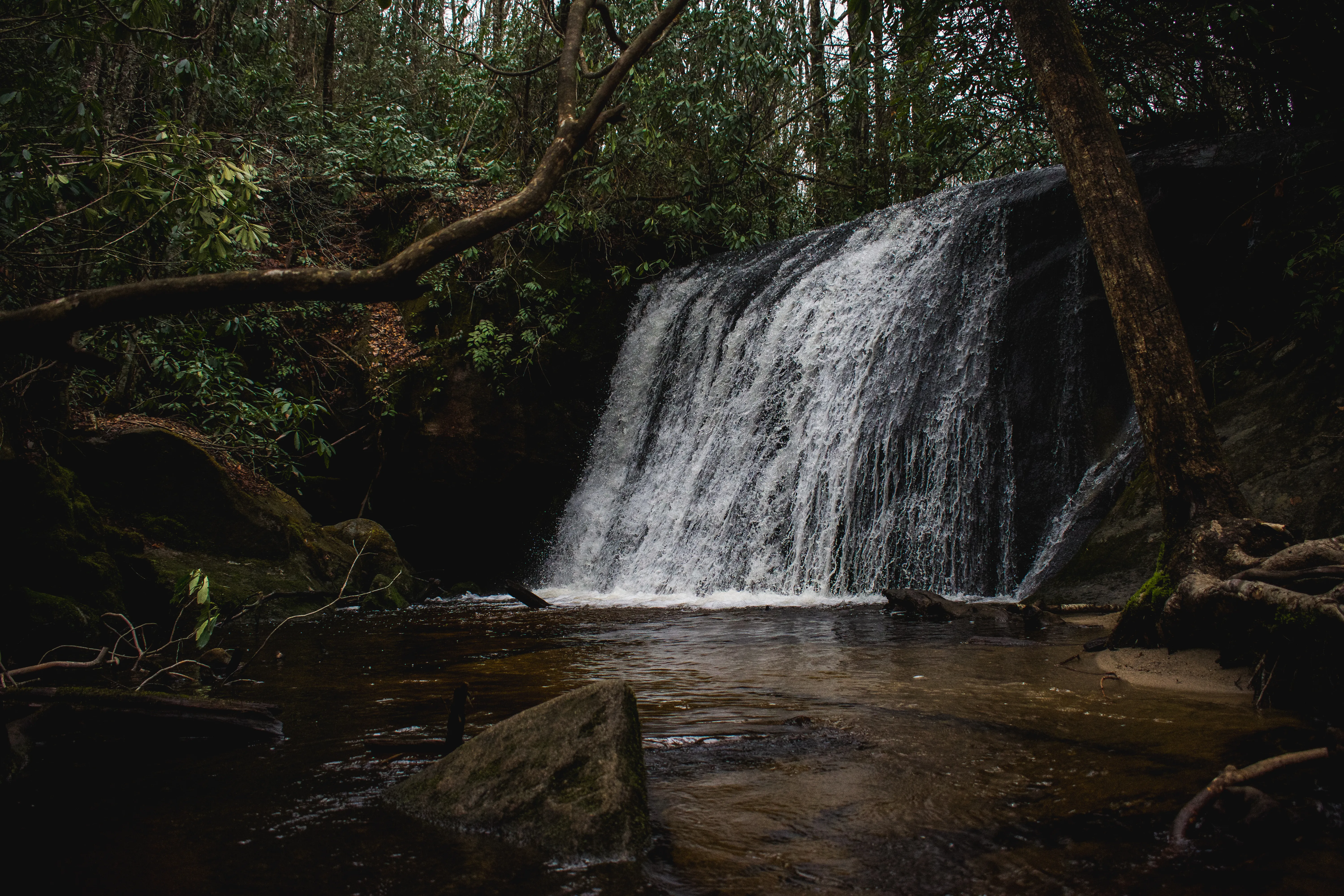 Hike to Frolictown Falls