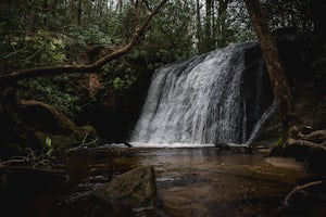 Hike to Frolictown Falls