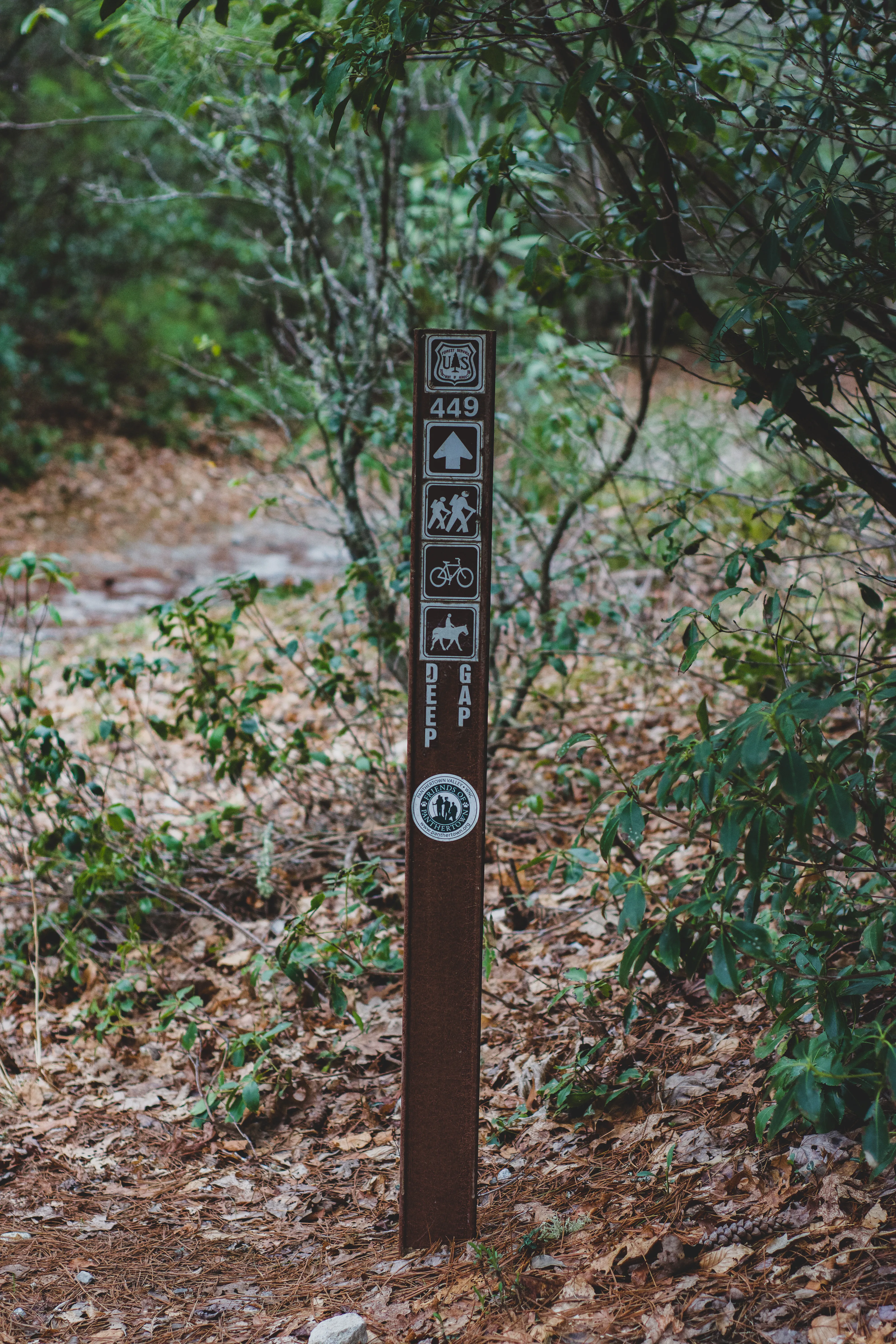 Hike to Frolictown Falls
