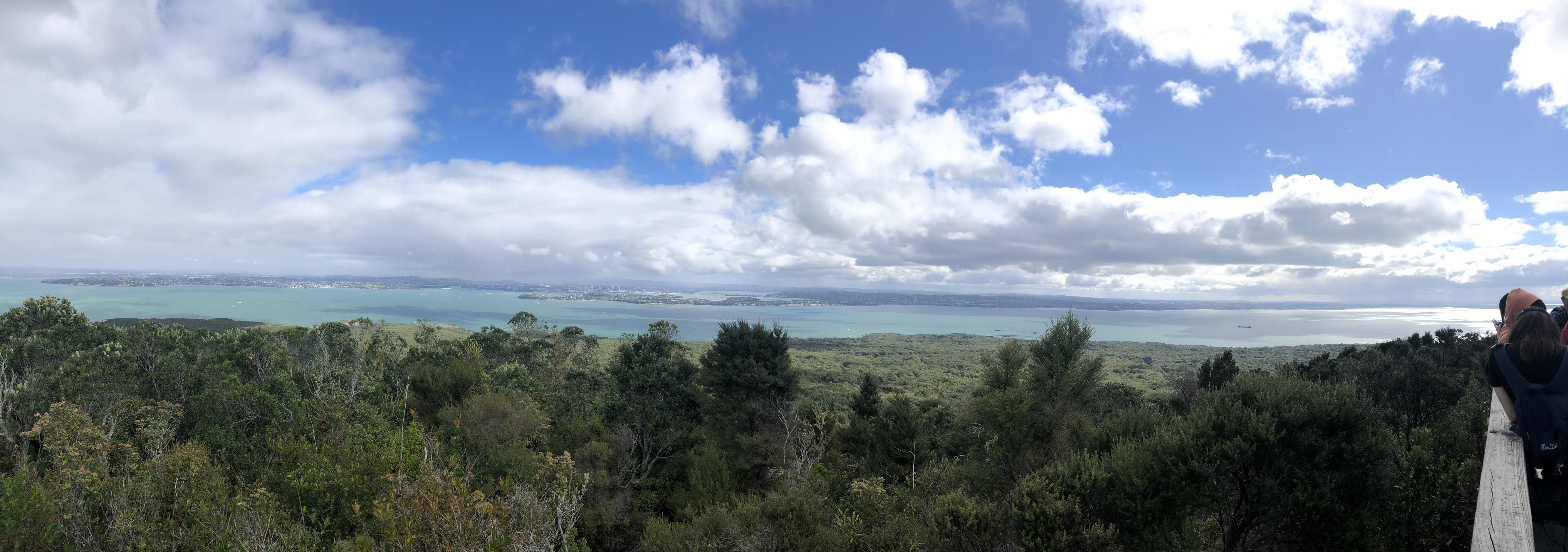 Hike the Summit Track on Rangitoto Island