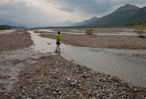 Camp at Teklanika River Campground