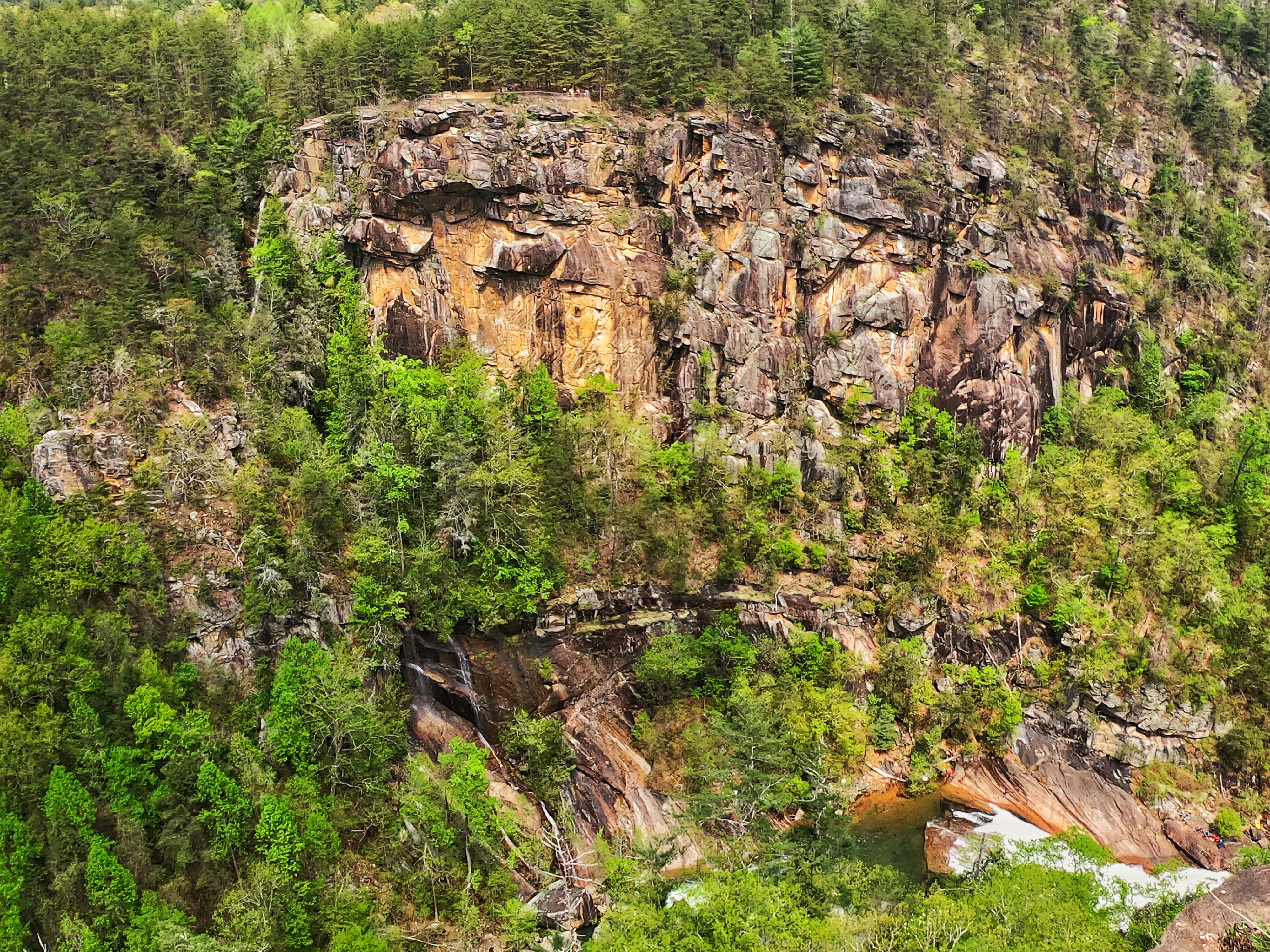 Camp at Tallulah Gorge State Park