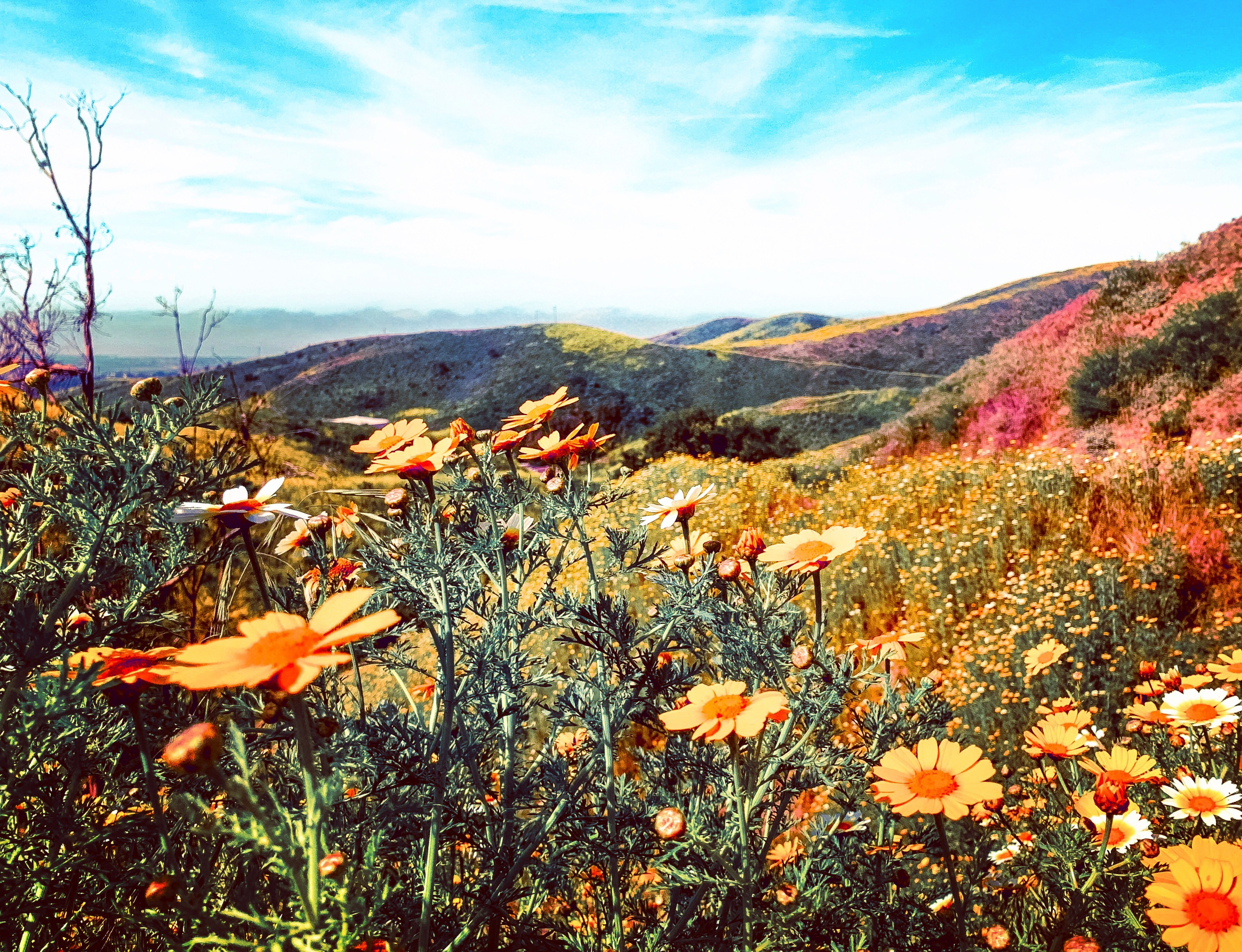 Hike Arroyo Verde Park