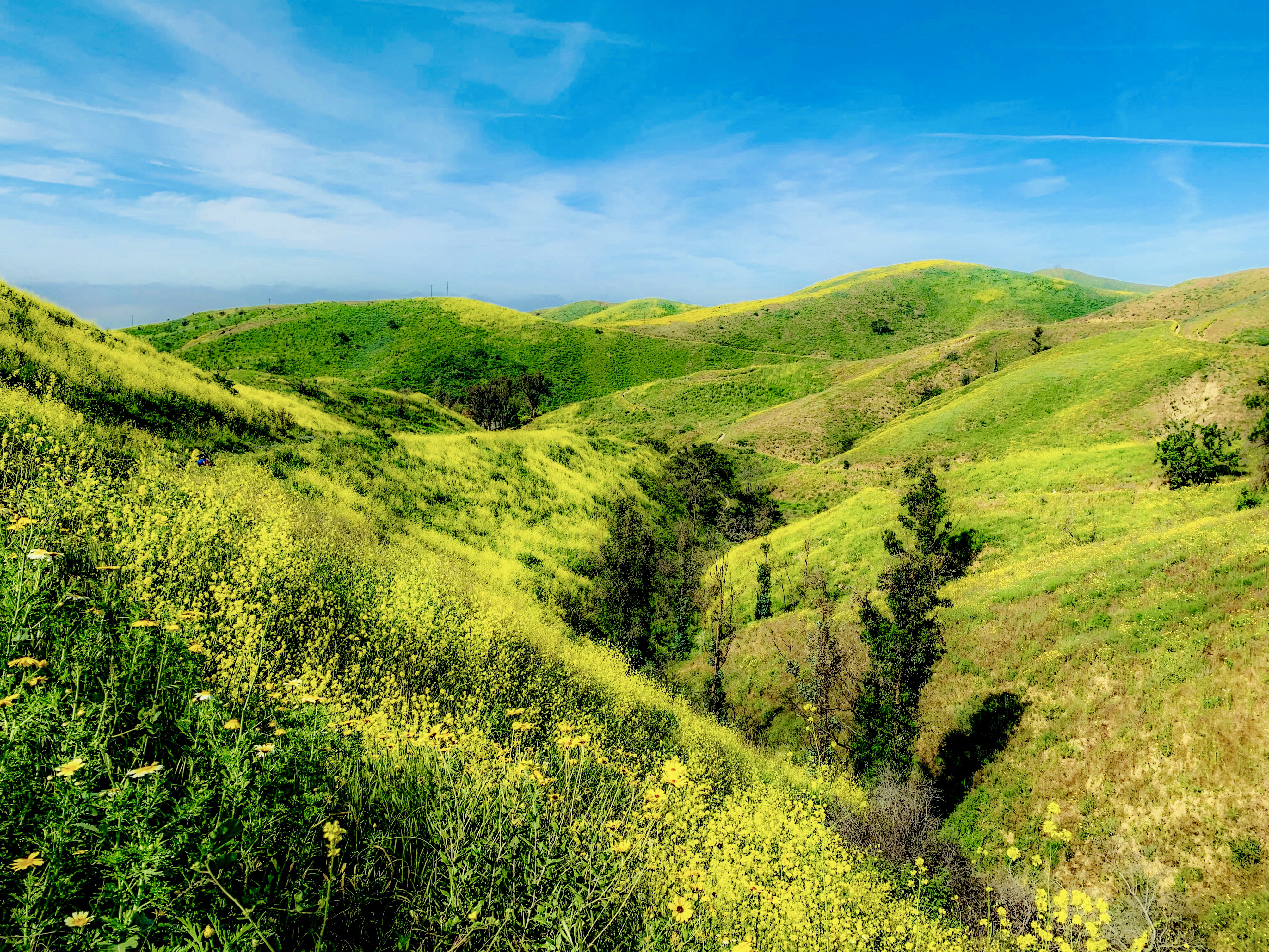 Hike Arroyo Verde Park