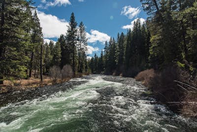 Hike the West Metolius River Trail