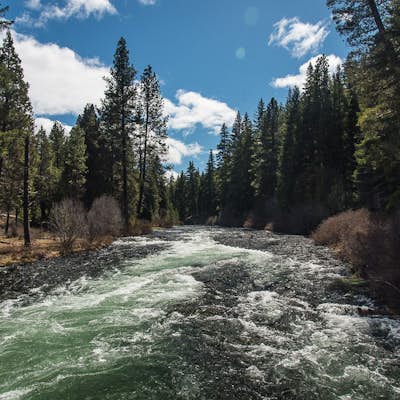 Hike the West Metolius River Trail
