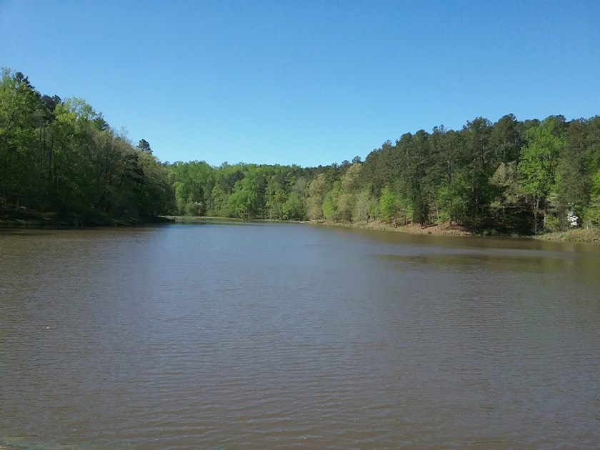 Hike the Reedy Creek Lake Trail, Cary, North Carolina