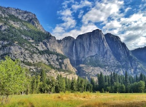8 Family-Friendly Hikes in Yosemite National Park