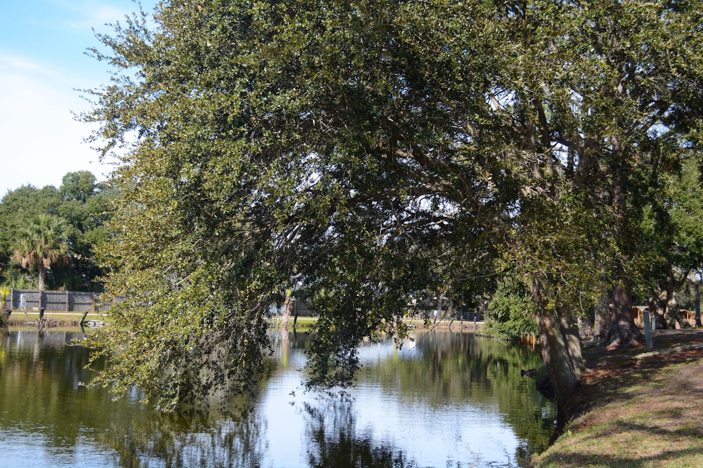 Photo of St. Augustine Beach Koa