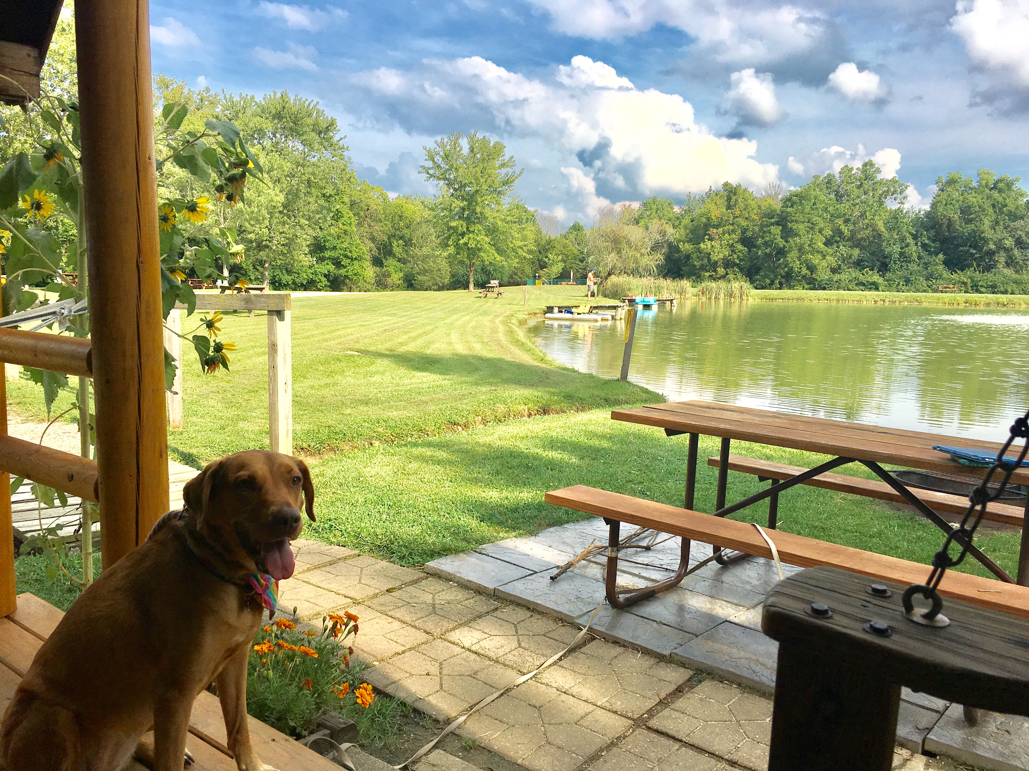 Richmond KOA Holiday