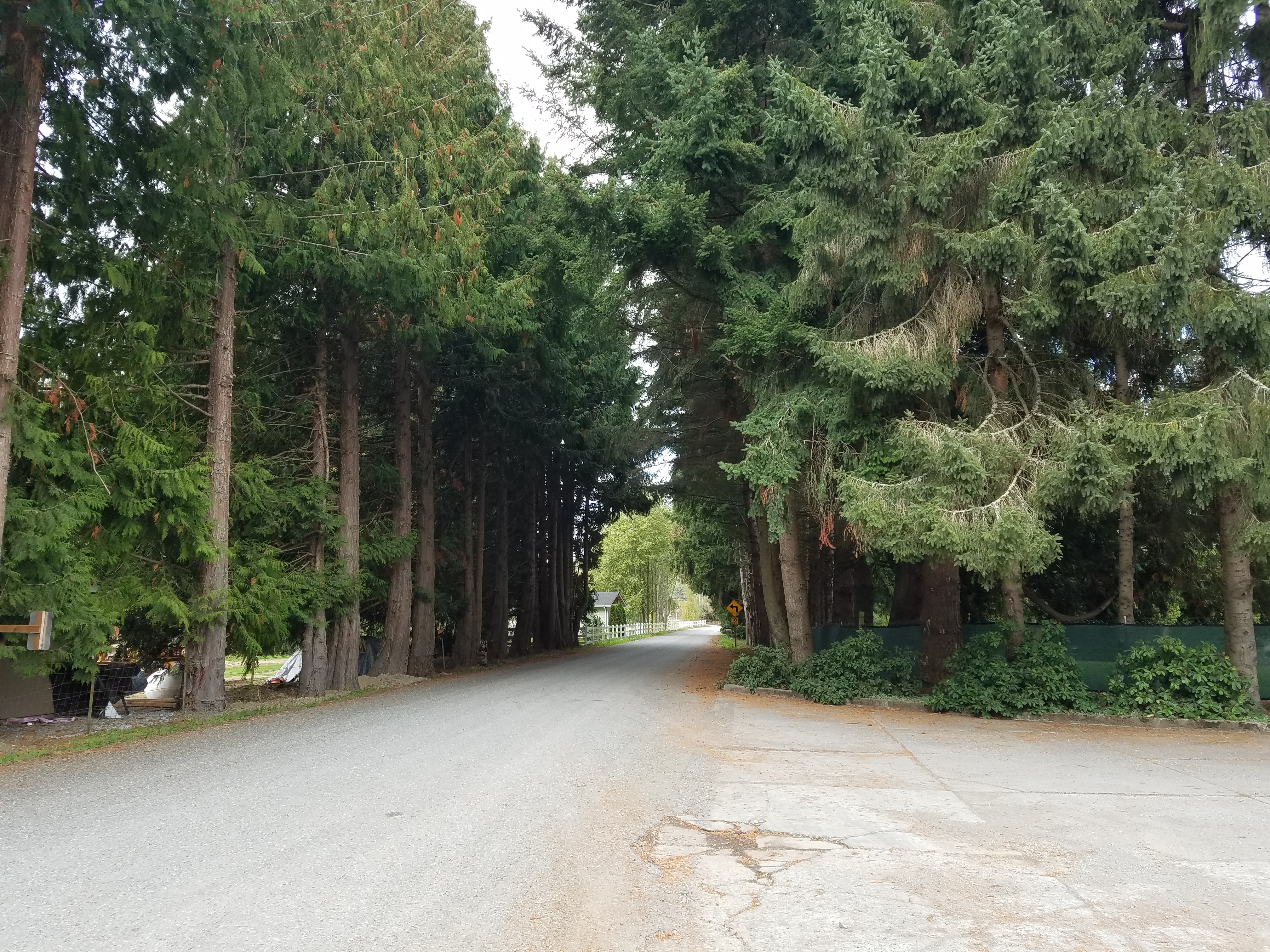 Burlington / Anacortes KOA Holiday