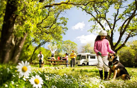 Lodging at Cloverdale / Healdsburg KOA in Cloverdale, California