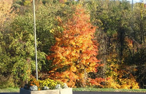 Washington / Pittsburgh SW KOA Journey